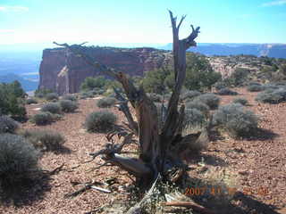 Dead Horse Point