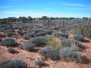 154 6bh. Dead Horse Point