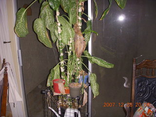 Pilot Getaways - Angel Point article