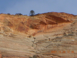 40 6cv. Zion National Park - Angels Landing hike