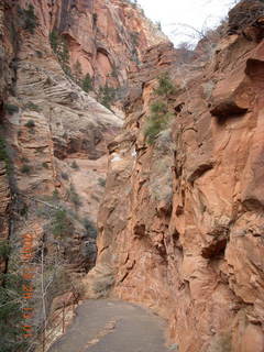 47 6cv. Zion National Park - Angels Landing hike