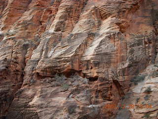 53 6cv. Zion National Park - Angels Landing hike