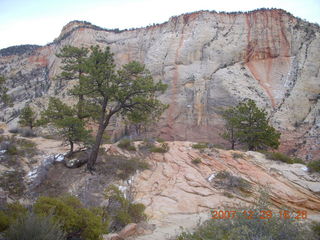 189 6cv. Zion National Park - West Rim trail