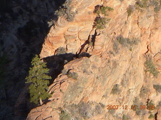 Zion National Park - sunrise Angels Landing hike - top