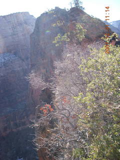 187 6cx. Zion National Park - sunrise Angels Landing hike