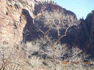 Zion National Park - Angels Landing hike