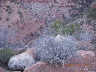 37 6d1. Zion National Park - sunrise Watchman hike