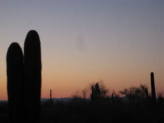 Sonia's pictures - desert at dawn - Lost Dog Wash