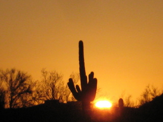 Sonia's pictures - desert at dawn - Lost Dog Wash