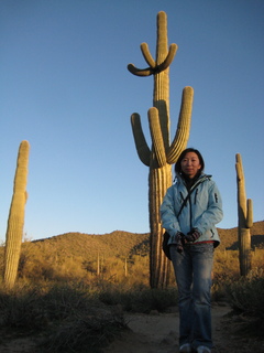 Sonia's pictures - saguaro cactus at sunrise - Lost Dog Wash