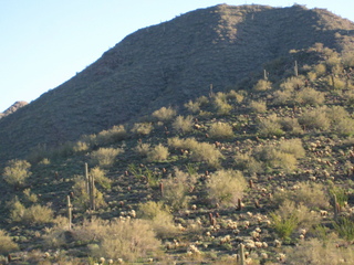 Sonia's pictures - Sonia and saguaro cactus - Lost Dog Wash