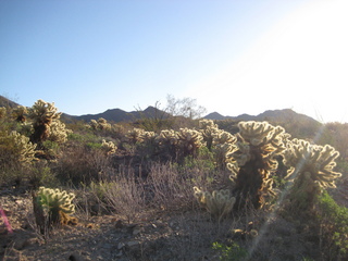 Sonia's pictures - sprawling Phoenix valley view - Lost Dog Wash