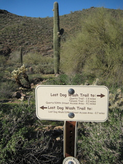 Sonia's pictures - sign - Lost Dog Wash