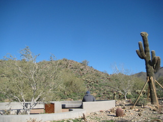 Sonia's pictures - Adam and ocotilla cactus - Lost Dog Wash