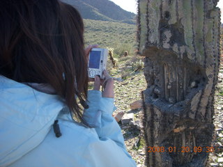 Lost Dog Wash - Sonia taking a picture of saguaro cactus 'bones'