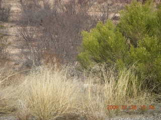 desert near Benson Airport (E95)