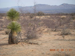 desert near Benson Airport (E95)