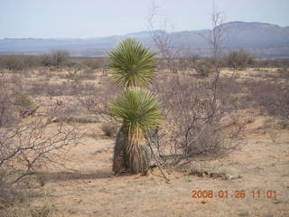 desert near Benson Airport (E95)