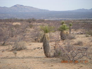 desert near Benson Airport (E95)