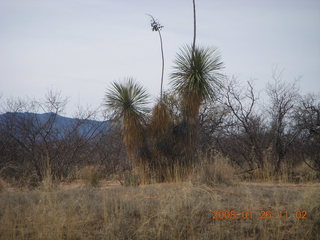 desert near Benson Airport (E95)