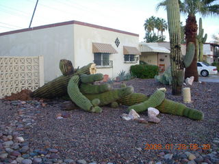 Camelback hike -- Mahendran and Adam