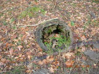 Pennypack Park wetland that used to be a parking lot