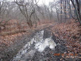 Pennypack Park - path