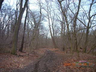 Pennypack Park - cute bench