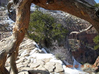 Zion National Park - Angels Landing hike - Adam at the top