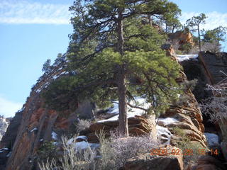 Zion National Park - Angels Landing hike - Adam coming down the icy part