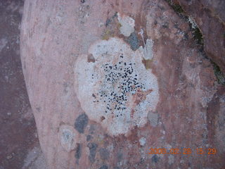 Zion National Park - Angels Landing hike - ice and chains