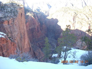 Zion National Park - west rim hike - plants sticking through the snow