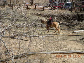 65 6ev. Zion National Park - Emerald Ponds hike - horseman