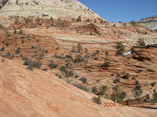 80 6ev. Zion National Park - slickrock hill