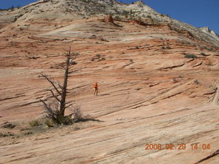 89 6ev. Zion National Park - slickrock hill - Adam in the distance