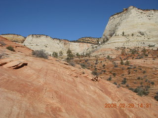 99 6ev. Zion National Park - slickrock hill