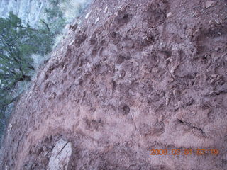 Zion National Park - Watchman hike - first light