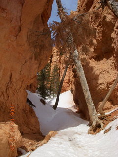 232 6f1. Bryce Canyon - Navajo Loop hike