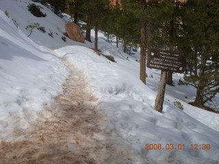 244 6f1. Bryce Canyon - Navajo Loop hike