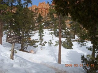 Bryce Canyon - Navajo Loop hike