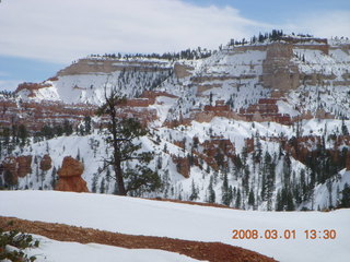 265 6f1. Bryce Canyon - Queens Garden hike