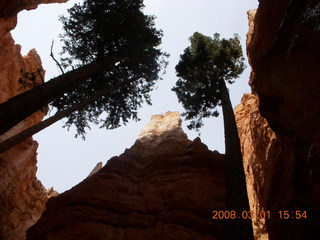 Bryce Canyon - Navajo Loop hike