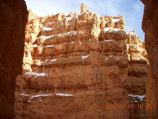 Bryce Canyon - Navajo Loop hike - very tall trees