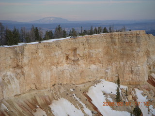 Bryce Canyon - bird in the snow