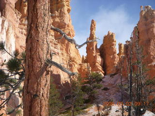 Bryce Canyon - Queens Garden hike