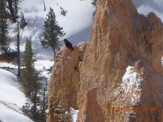 Bryce Canyon - Queens Garden hike