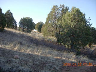 Chapman Ranch Airport runway