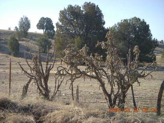 Chapman Ranch run