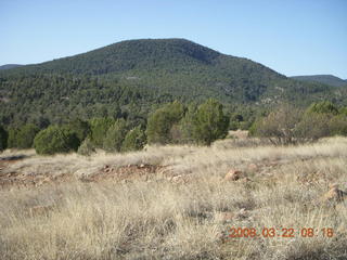 Chapman Ranch run