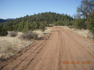 Chapman Ranch run